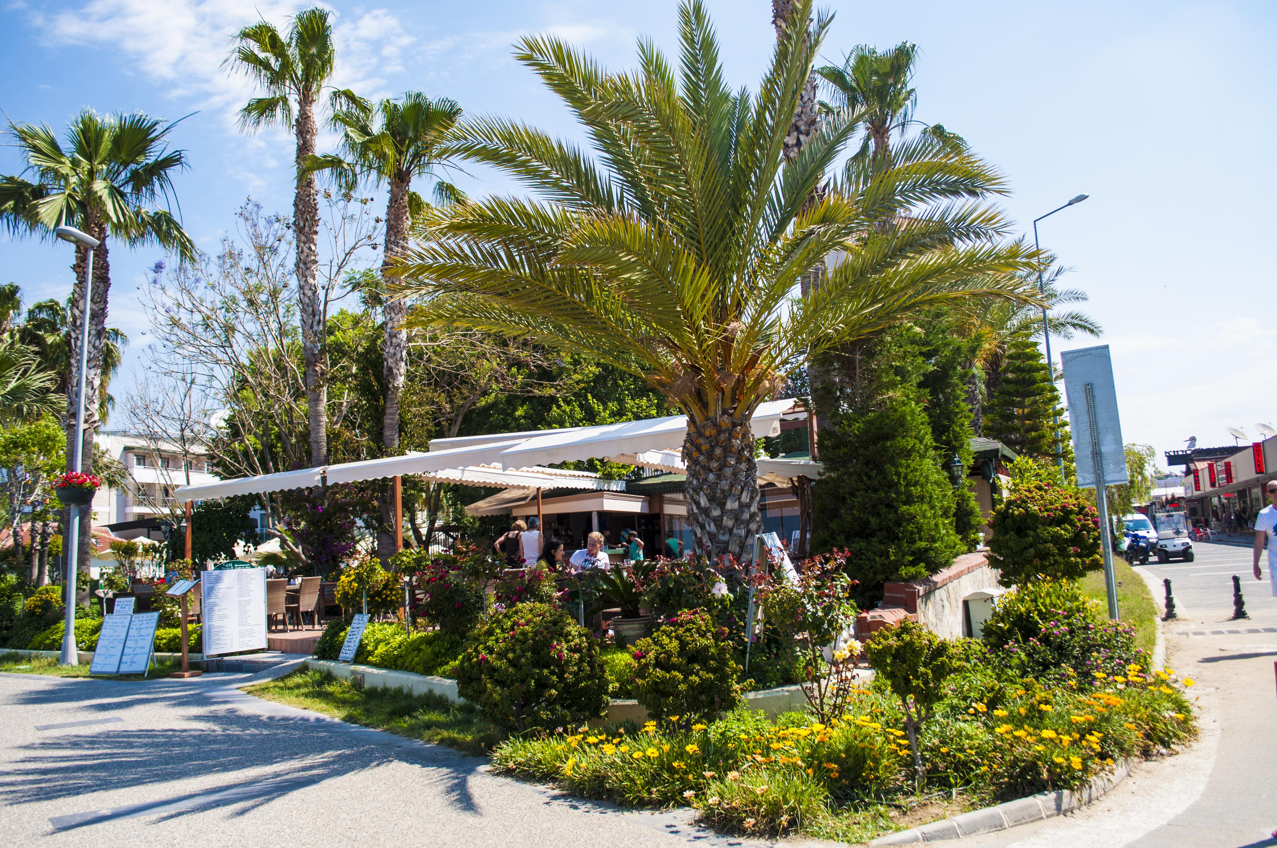 Sun Beach Hotel Sidé Extérieur photo